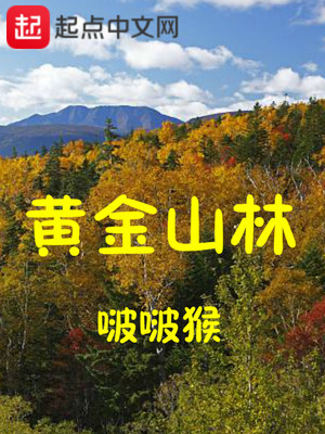 宝藏海岛主
