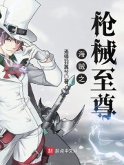 海贼之枪械至尊百度百科