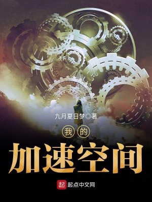 我的加速空间 小说
