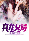 真龙女婿战龙喝茶码字