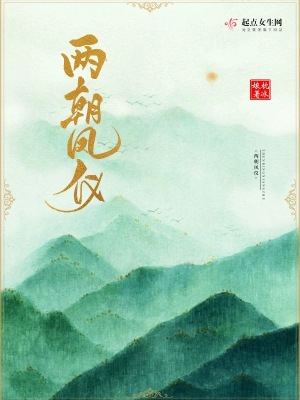 两朝凤仪小说讲的是