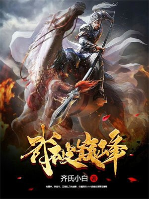 武破巅峰全集