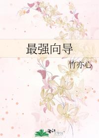 最强向导竹亦心百度云
