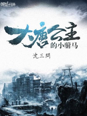 大唐公主的小驸马 小说