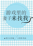 游戏里的老婆小说