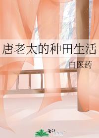 唐老太的种田生活作者: 白医药