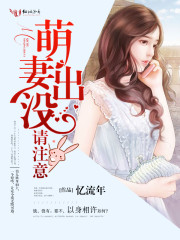 萌妻出没请注意作者忆流年