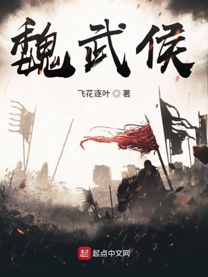 魏武侯小说