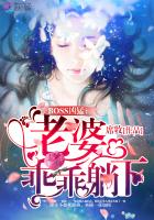 boos缠上身娇妻晚上见
