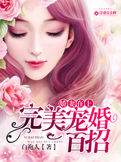 娇妻在上完美宠婚一百招百度百科