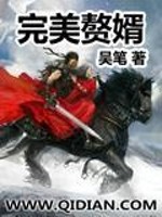 完美赘婿短剧免费版