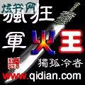 疯狂军火王小说