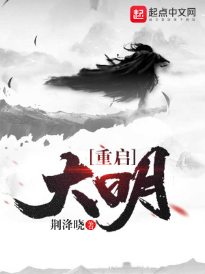 重启大明TXT下载