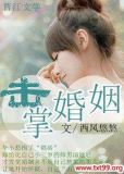 击掌婚姻 葭月飞雪