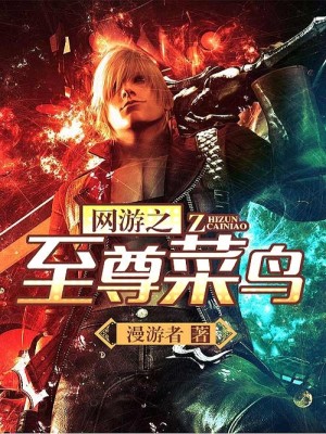 网游之至尊菜鸟奇书