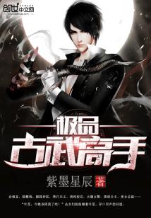 极品古武高手 紫墨星辰下载