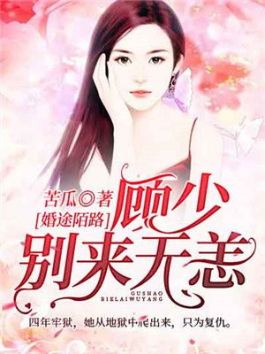 婚途有坑顾少宠妻入骨小说