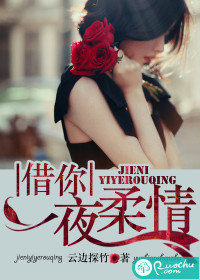借你一夜柔情什么意思