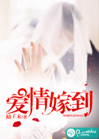 爱情嫁到电视剧