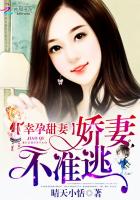 幸孕甜妻,大叔,安分点 小说
