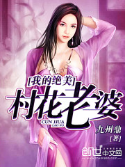 我的美女村支节
