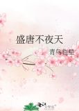 盛唐不夜天