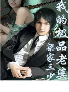 我的极品老婆第三季全集