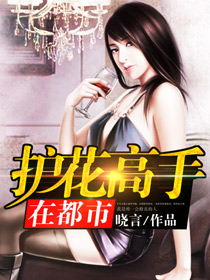 护花高手在都市TXT小说下载百度云
