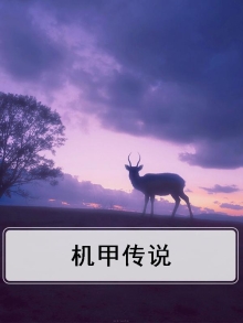 机甲传说投降派九阶机甲