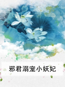 邪君溺宠小妖妃TXT全文免费阅读