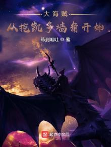 大海贼从挖凯多墙角开始百度百科
