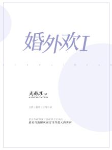 婚外欢 电视剧免费观看