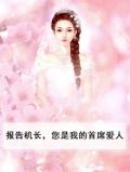 报告机长你的前任已登机