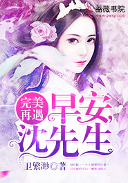 完美再遇免费阅读