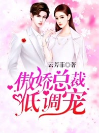 傲娇总裁低调宠 云芳菲