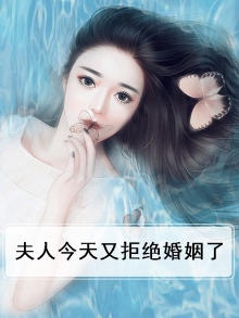 夫人今天又离婚了吗无弹窗