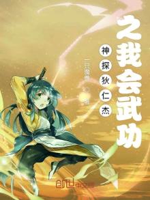 神探狄仁杰之我会武功TXT免费下载