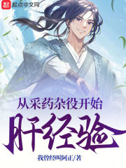 从采药杂役开始肝经验林枫