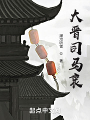 大晋重生我是司马衷