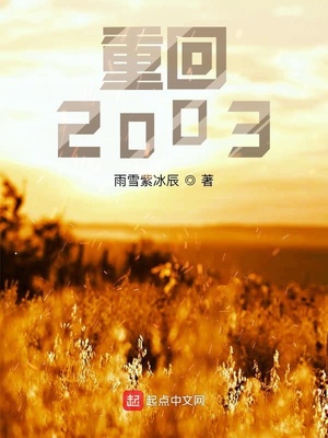 重回2003小说免费阅读