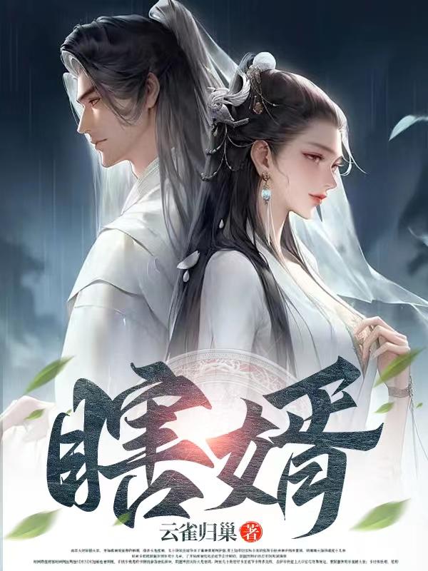 瞎婿小说免费阅读全文