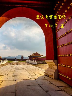 重生之官场小说大全完本书