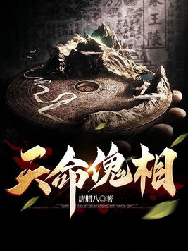 天命傀相小说免费阅读