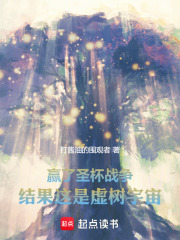 虚假的圣杯战争