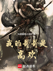 我的哥哥是高欢小说