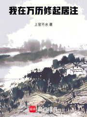 我在万历修起居注txt
