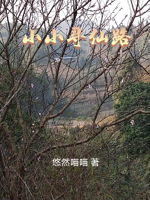 小小寻仙路百度网盘