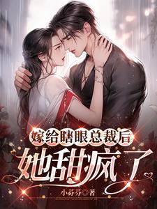 嫁给瞎子总裁的小说