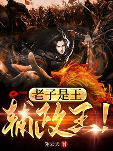 老子是王,辅政王!下载