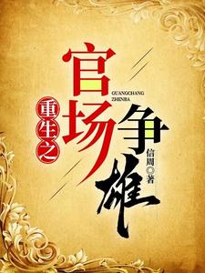 重生之官场争雄小说
